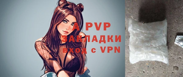 крисы Мегион