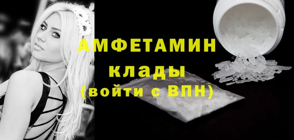 крисы Мегион