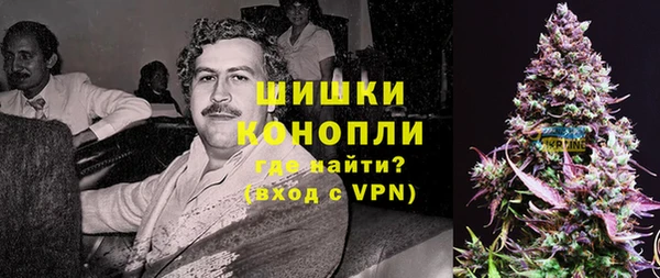 крисы Мегион