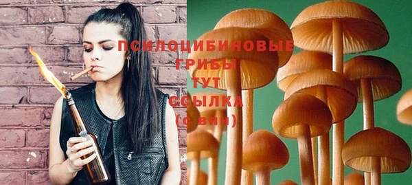 крисы Мегион
