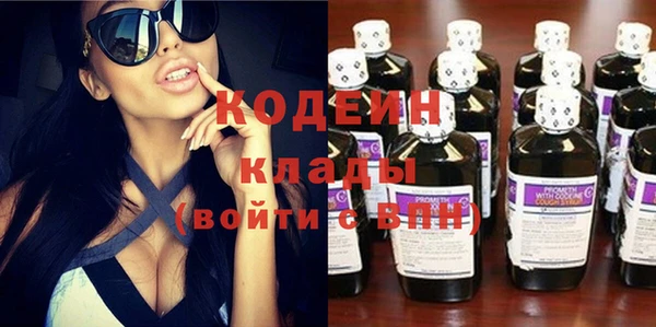 крисы Мегион