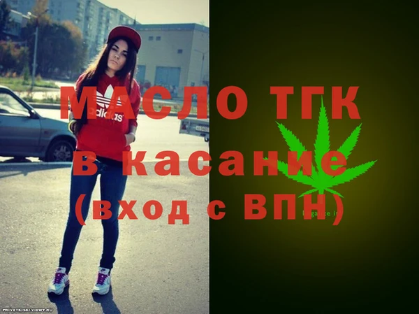 крисы Мегион