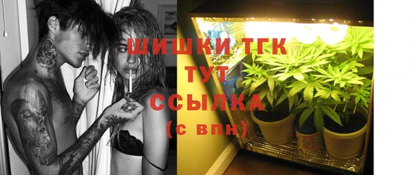 2c-b Медвежьегорск