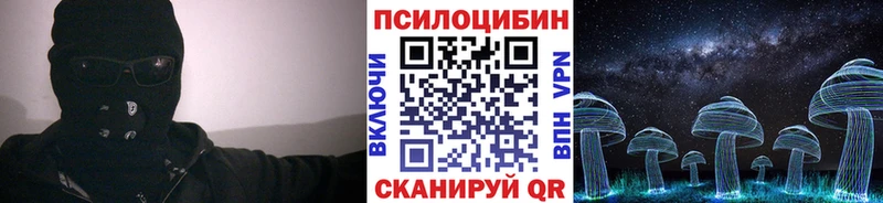 Псилоцибиновые грибы мицелий купить Петропавловск-Камчатский