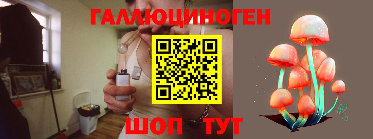 Псилоцибиновые грибы мицелий  Вход с VPN  Петропавловск-Камчатский 