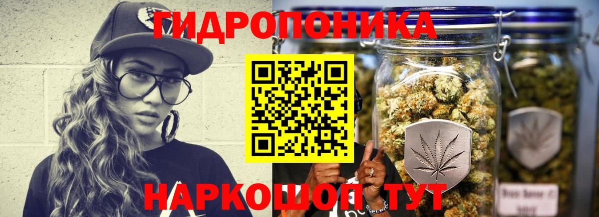 Бошки марихуана семена Петропавловск-Камчатский